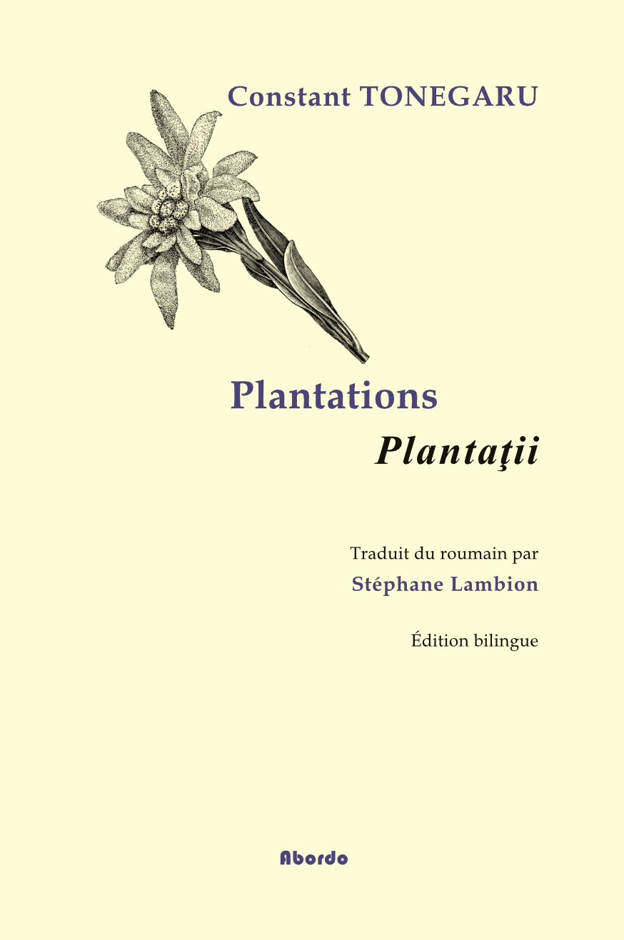 Plantations / Constant Tonegaru